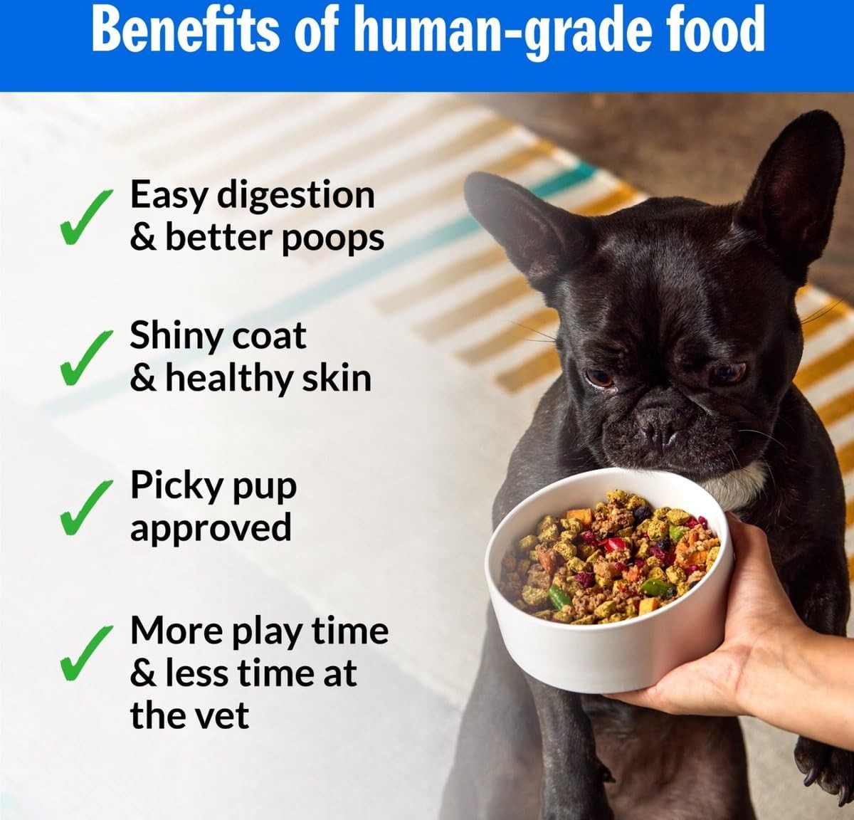Petplate Human-Grade Fresh Dog Food Chompin Chicken Entre Wet Dog Food For All