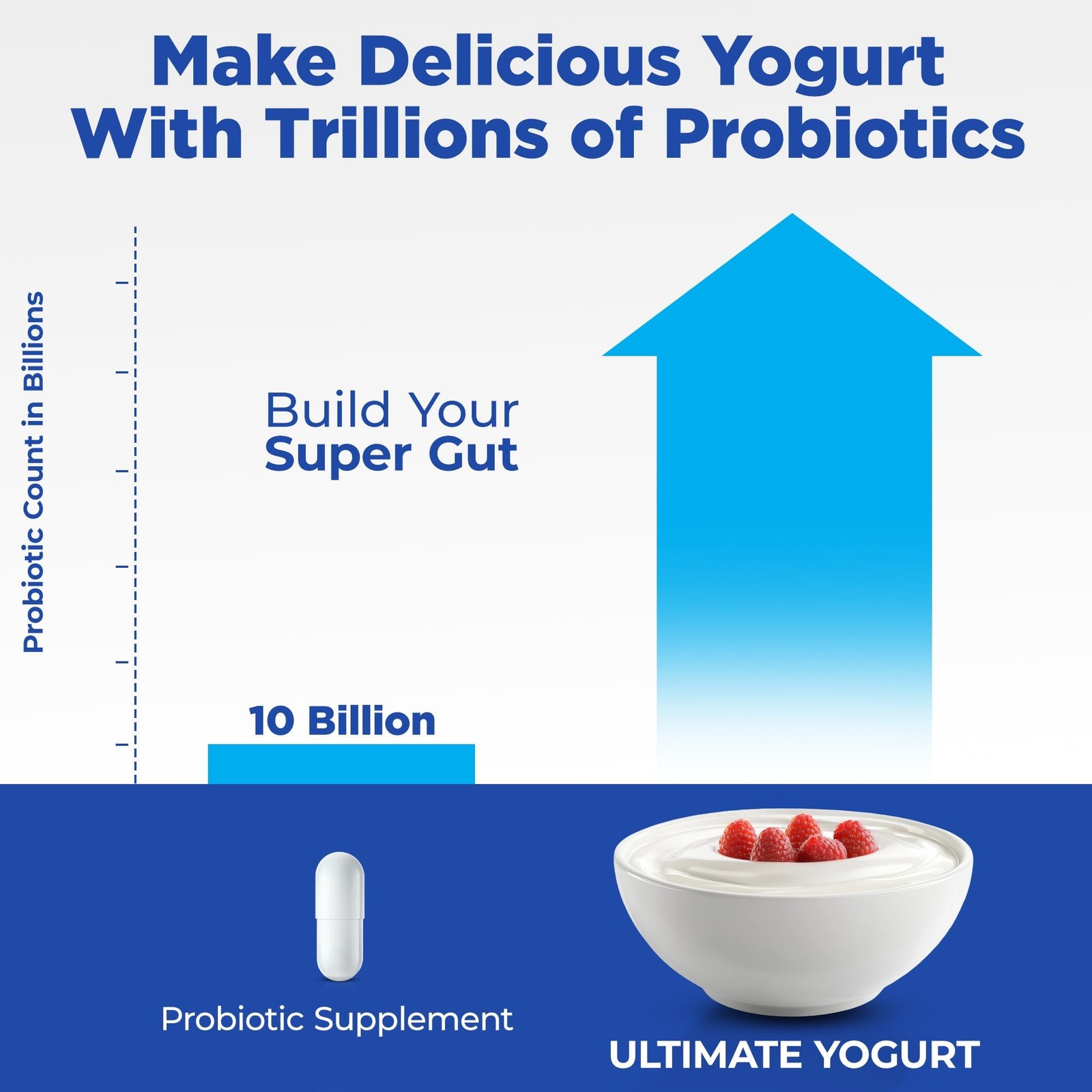 Ultimate Probiotic Yogurt Maker with With Eight Jars (6oz), Stainless Steel