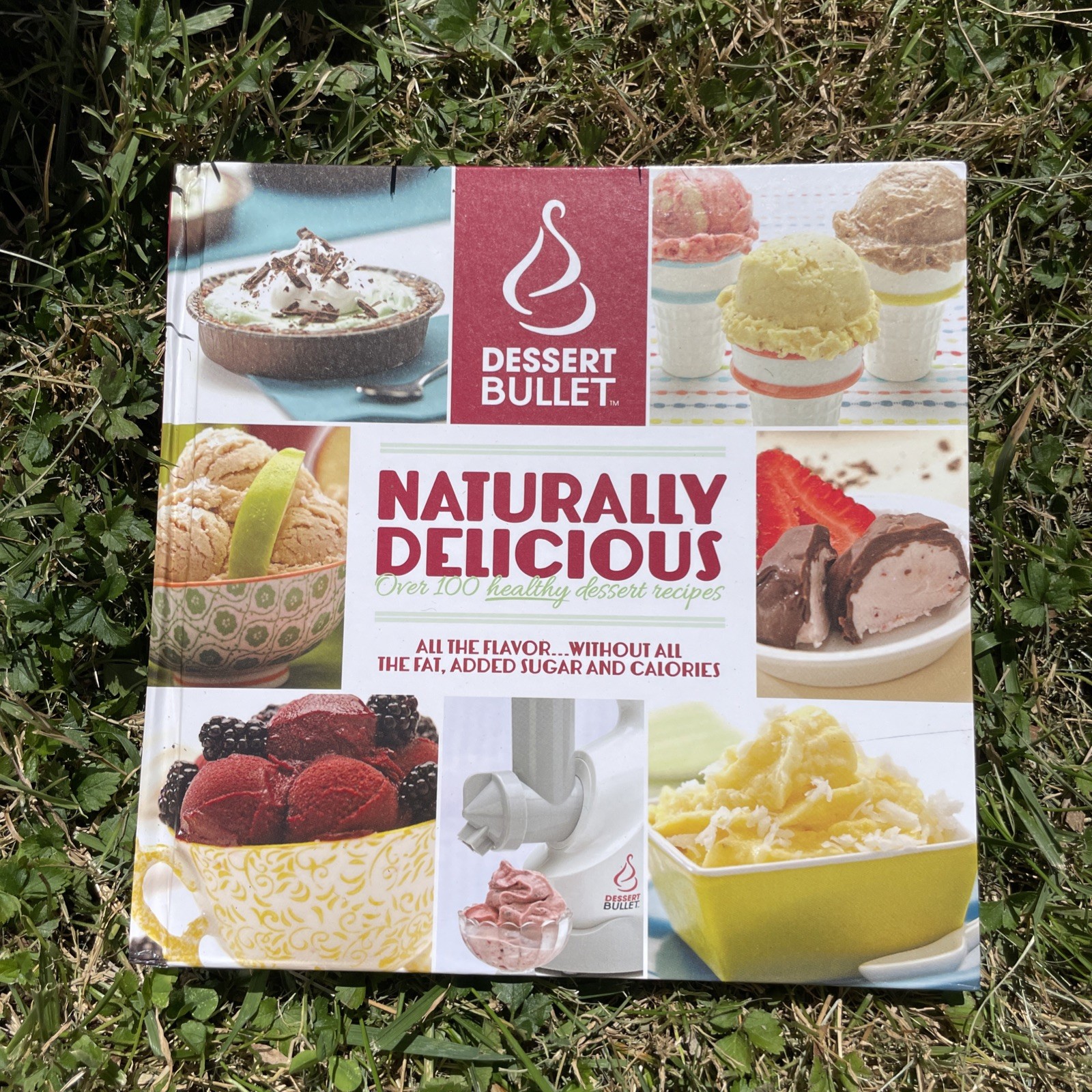NEW In Box Magic Bullet Dessert Bullet Blender 10 Second Healthy Dessert Maker