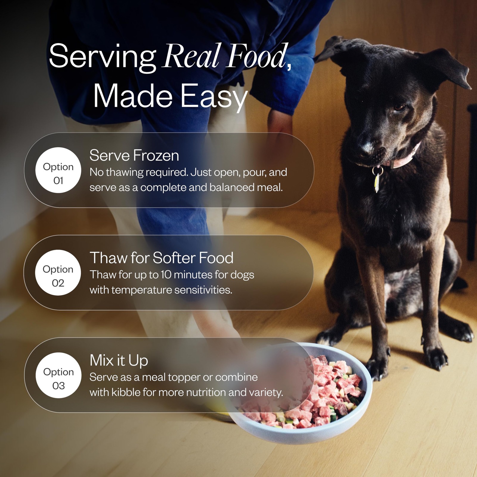 Maev Human-Grade Fresh-Frozen Beef Dog Food Grain-Free Whole Ingredient Raw