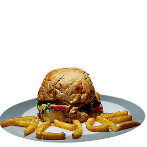 Special Burger